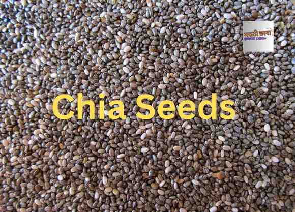 Chia Seeds in Marathi